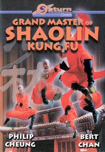 Poster for The Divine Martial Arts Of Dharma