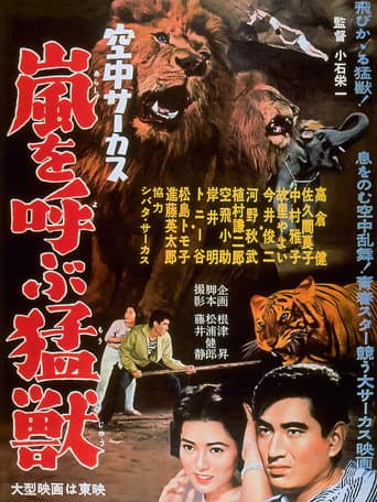 Poster for Midair Circus