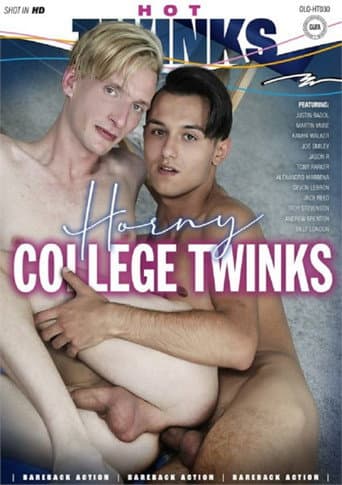 Poster for Horny College Twinks