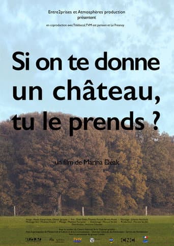 Poster for Si on te donne un château, tu le prends?