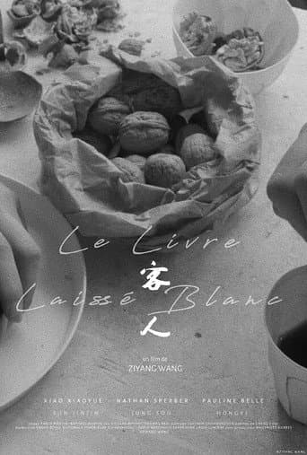 Poster for 客人