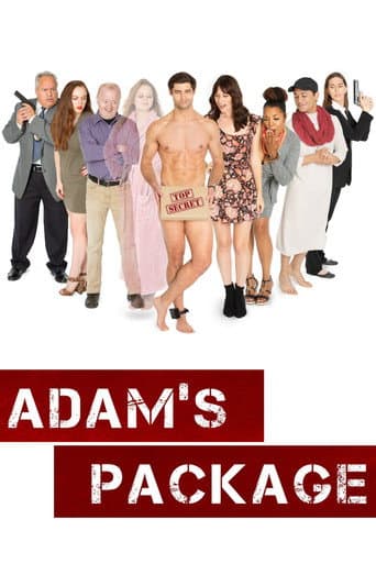 Poster for Adam's Package