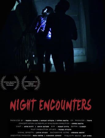 Poster for Night Encounters