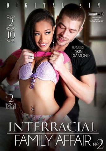 Poster for Interracial Family Affair 2