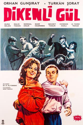 Poster for Dikenli Gül