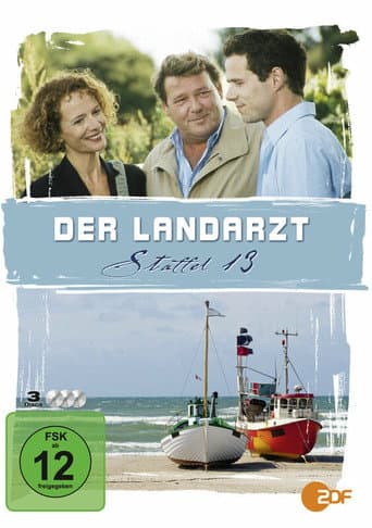 Poster for Season 13
