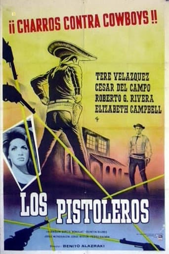 Poster for The Gunslingers