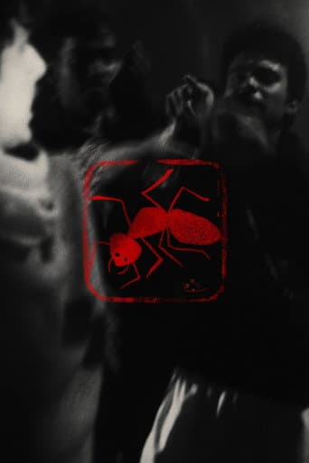 Poster for Bish Pipra