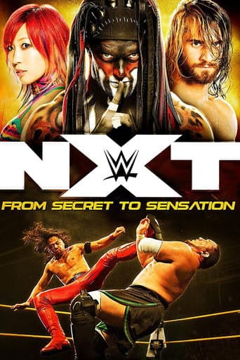 Poster for NXT: From Secret To Sensation