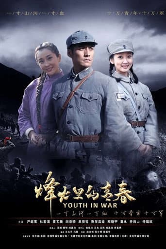 Poster for 烽火硝烟里的青春