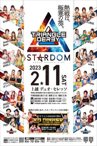 Poster for Stardom Triangle Derby I in Joetsu