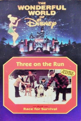 Poster for Race for Survival