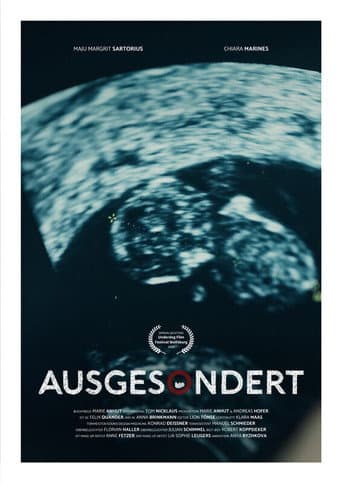 Poster for Screened Out