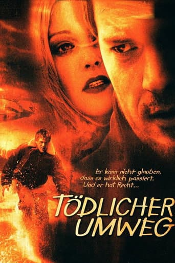 Poster for Deadly Diversion