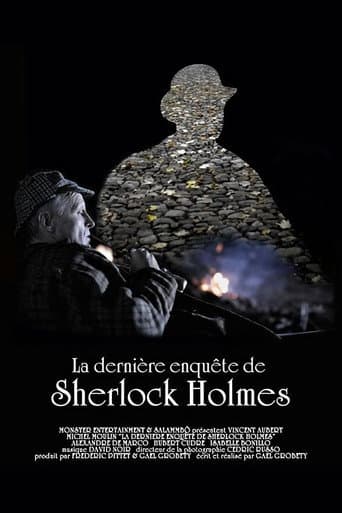 Poster for La dernière enquête de Sherlock Holmes
