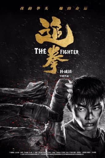 Poster for The Fighter