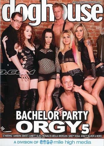 Poster for Bachelor Party Orgy 5