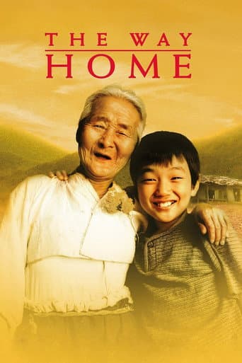 Poster for The Way Home