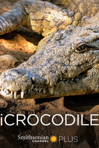 Poster for iCrocodile