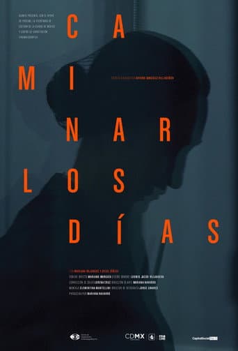 Poster for And The Days Never Stop Walking