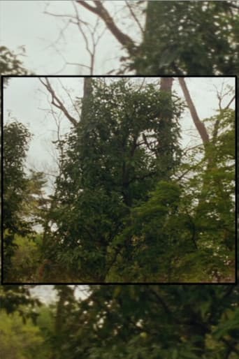 Poster for Available Light