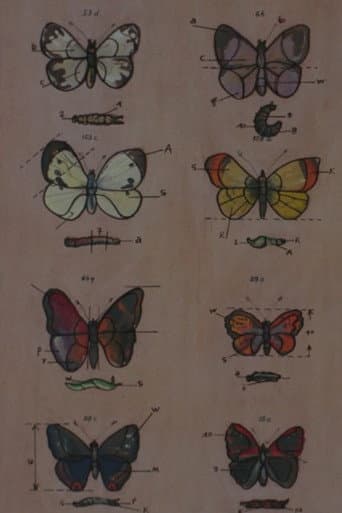 Poster for Lekcja anatomii