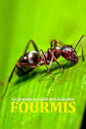 Poster for Fabulous Insects - Ants