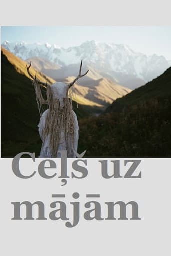 Poster for The Way Home