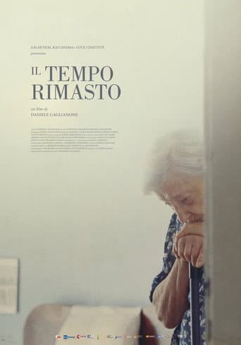 Poster for Il tempo rimasto