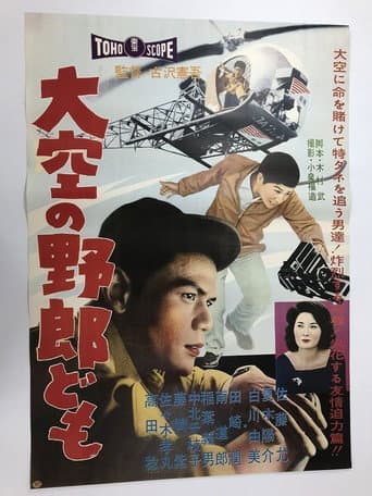 Poster for Reporters from the Sky