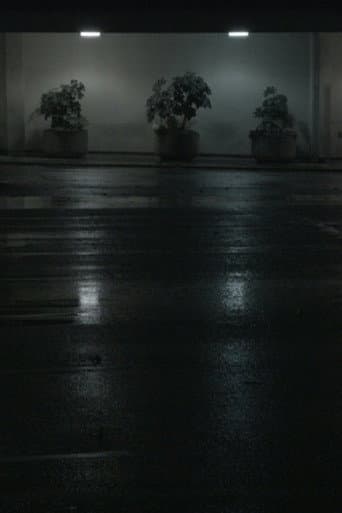 Poster for Night Swells