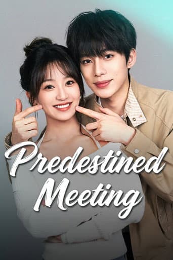 Poster for Predestined Meeting
