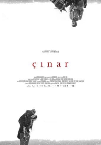 Poster for Plane Tree