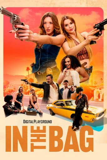 Poster for In the Bag