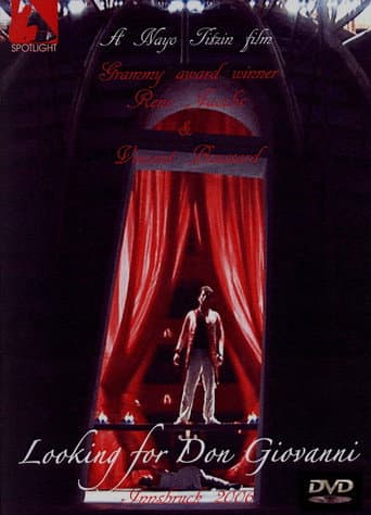 Poster for Looking for Don Giovanni