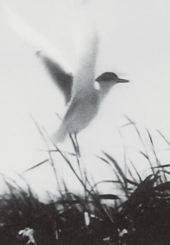Poster for Inhabitants