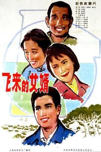 Poster for 飞来的女婿
