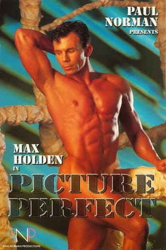 Poster for Picture Perfect