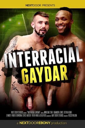 Poster for Interracial Gaydar