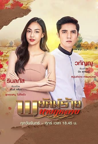 Poster for Mr. Rose: The Secret Spy