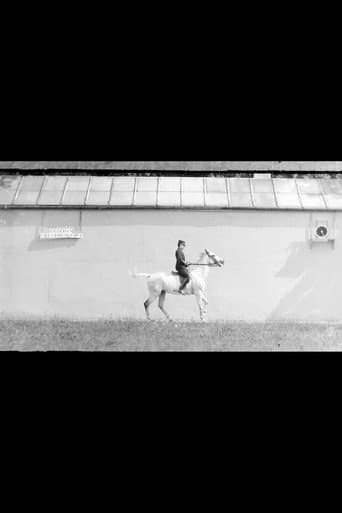 Poster for Bay Horse, Mounted, Trotting