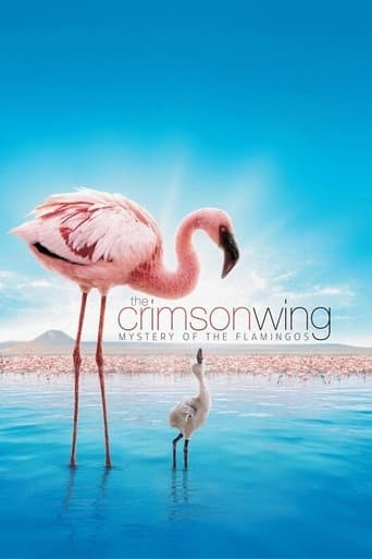 Poster for The Crimson Wing: Mystery of the Flamingos