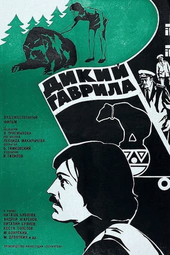 Poster for Wild Gavrila