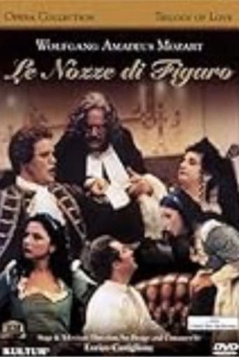 Poster for The Weddings of Figaro