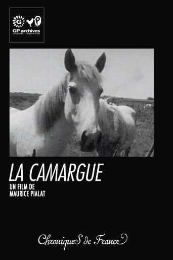 Poster for La Camargue