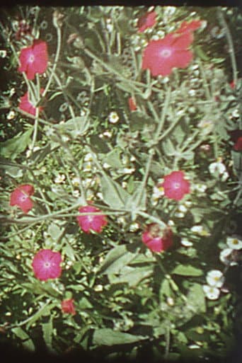 Poster for Precarious Garden
