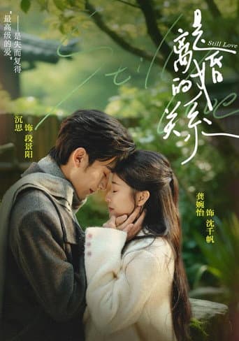 Poster for 是离婚的关系