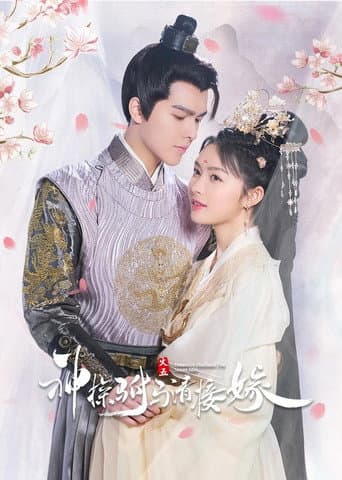 Poster for Detective Husband I've Never Met
