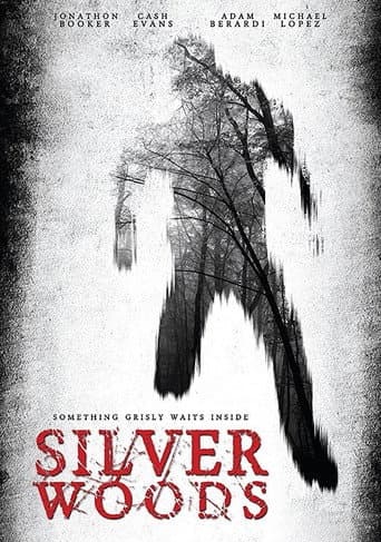 Poster for Silver Woods