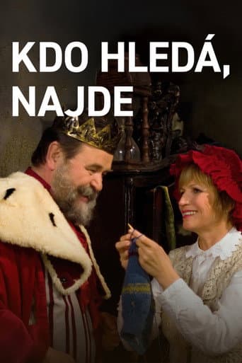 Poster for Kdo hledá, najde